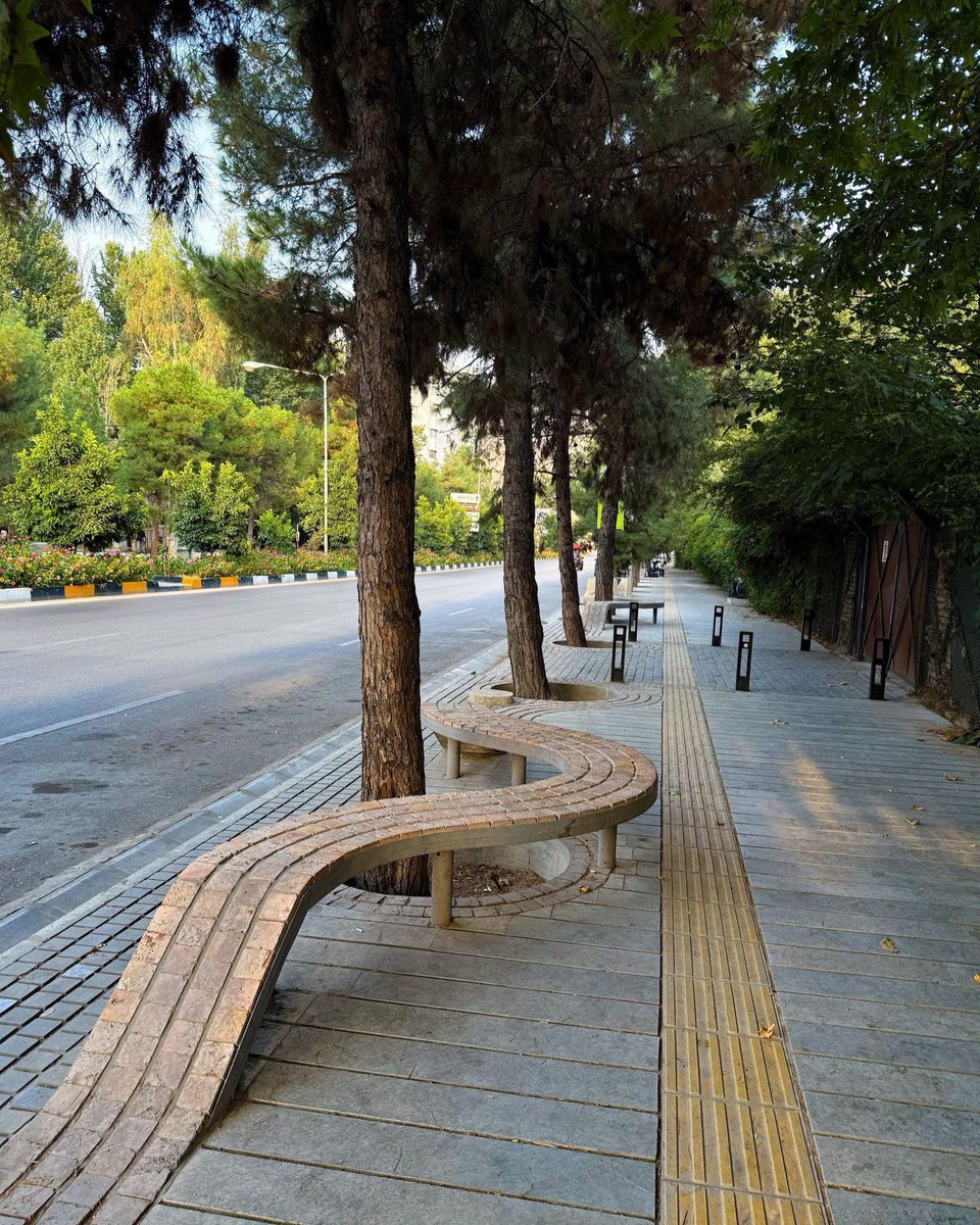 gomezdetejada's tweet photo. Diseño urbano en Shiraz (Irán), donde el pavimento se eleva para convertirse en un banco ondulado que rodea un árbol existente. https://t.co/gEFxWwOBfA