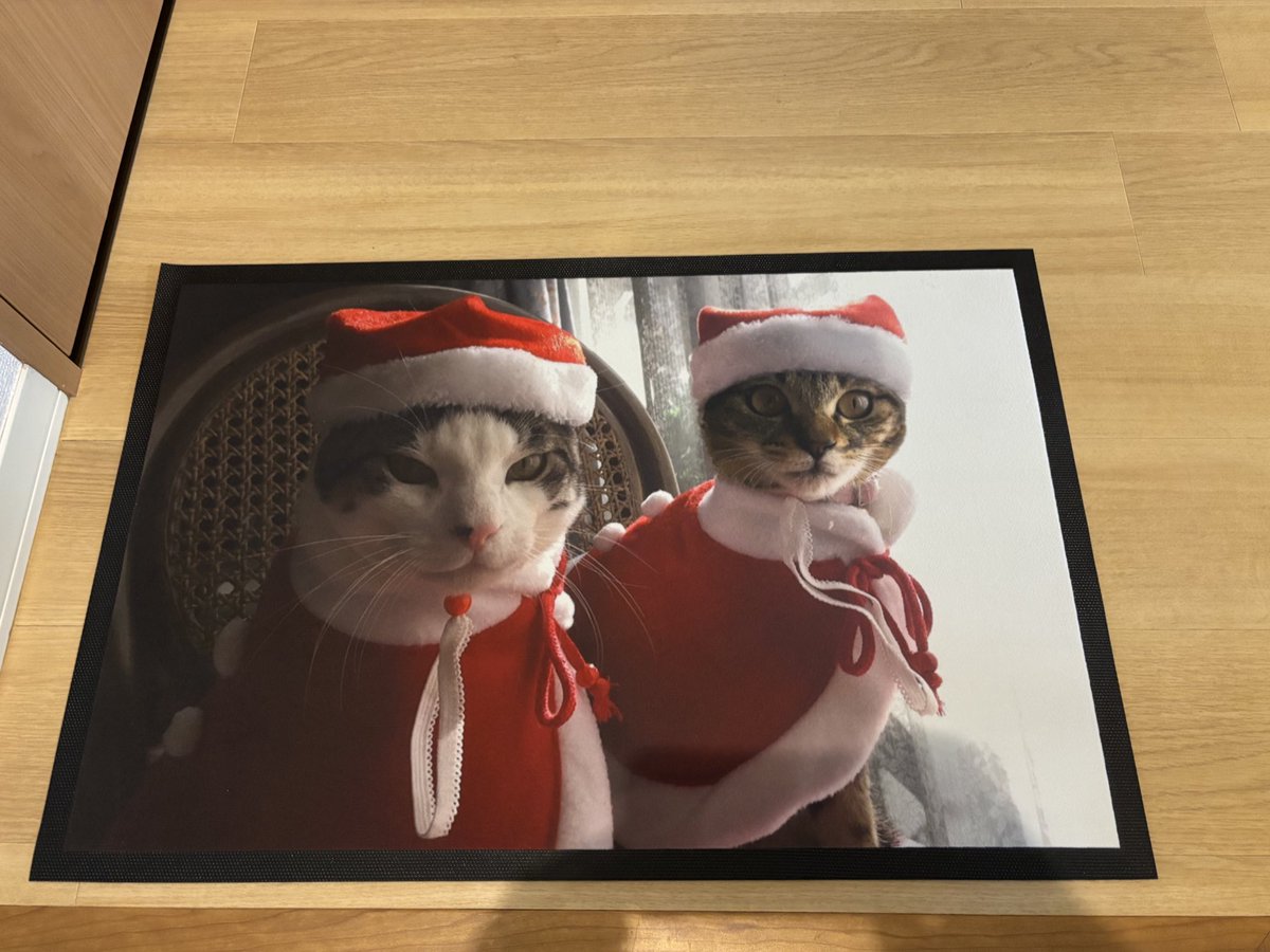 tai_kim's tweet photo. 玄関マットを新調しました✨
今は亡き猫さん達の写真🤳をマット化😘
#猫
#猫のいる暮らし𓃠 https://t.co/46DGRa05bA