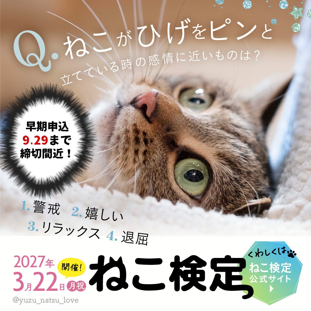 nekokentei's tweet photo. ＿＿＿◣＿＿＿＿＿◢＿＿＿

　　　第10回ねこ検定
早期申込キャンペーン明日締切！
＿＿＿＿＿＿＿＿＿＿＿＿𓂃

早期申込者全員がもらえる！ 
全3種類から2枚選べるオリジナルクリアファイル！
複数階級受験でオリジナルツバメノートも📒

割引価格で申し込みでき、特典も付いてくる、
最もお得なこの機会に大好きな猫のこと学んでみませんか？
受験者の9割以上が検定に取り組む前より「猫の気持ちが分かるようになった」と回答しています。

9月29日「招き猫の日」までにぜひお申込みください！ 
▼ねこ検定公式サイト 
https://t.co/jA72y270rG

photo by @yuzu_natsu_love 

#ねこ検定 #招き猫の日 #勉強 #キャンペーン #猫 #ねこ #猫がいる幸せ #猫好きな人と繋がりたい