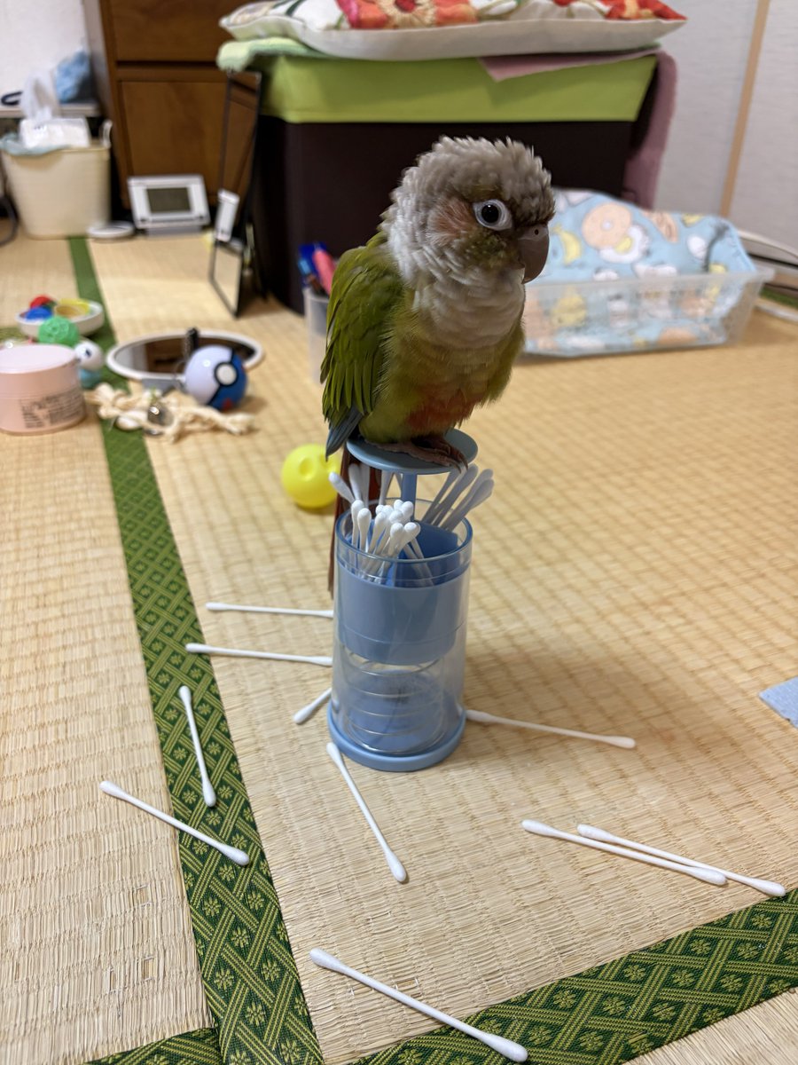 Rinrokumimi's tweet photo. 遊んだ！ https://t.co/DUxl1xQKqh