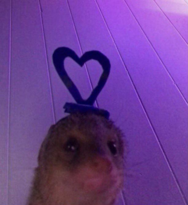 birdieboyluvr's tweet photo. Booo gotta actually re-upload all my content on here TvT https://t.co/scKgZ8bPfH