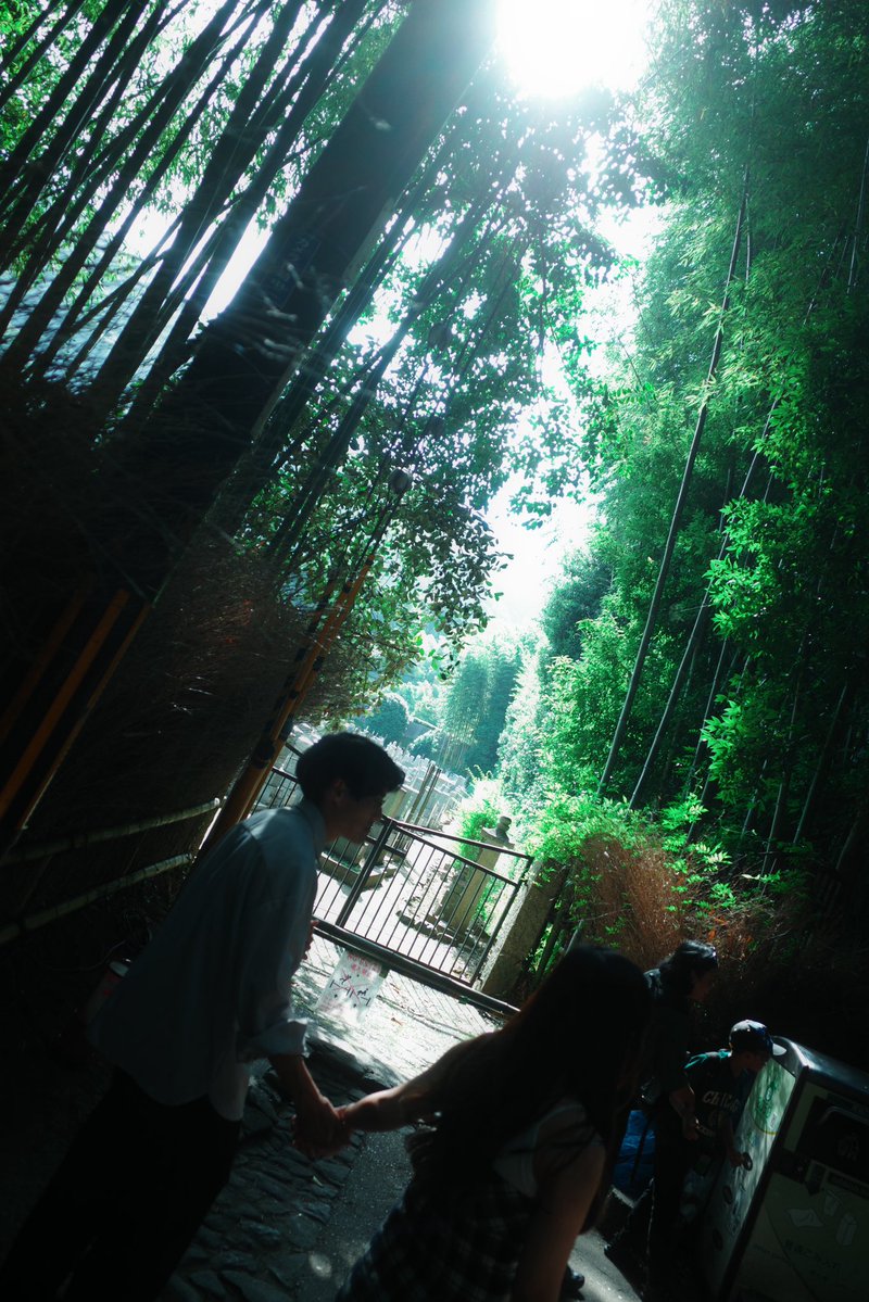 ampersanda's tweet photo. Japan, but it’s now for myself https://t.co/1bk3zdtCD9
