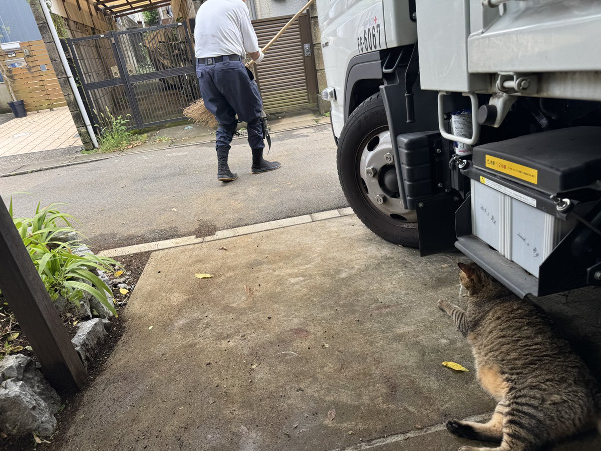 ume1213's tweet photo. 千葉県市川市のお客さんが飼っていたニャンコ😽
家の外に出たら玄関を閉められてしまって🙀外で待っていたんだけど大人しく可愛いニャンコ☺️

見届けてないけど家に入れてもらえたのかな😂 https://t.co/vDNITgo4Vy