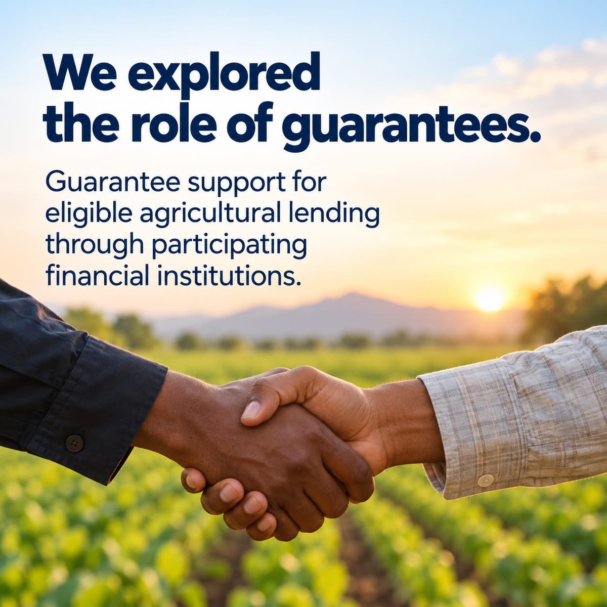 ACGSFNG's tweet photo. This month, we started a key conversation: We explored realities of agricultural lending, the role of guarantees, and how ACGSF provides guarantee support to eligible agricultural lending through participating financial institutions
#GrowWithACGSF https://t.co/pHUsfFV4nd
