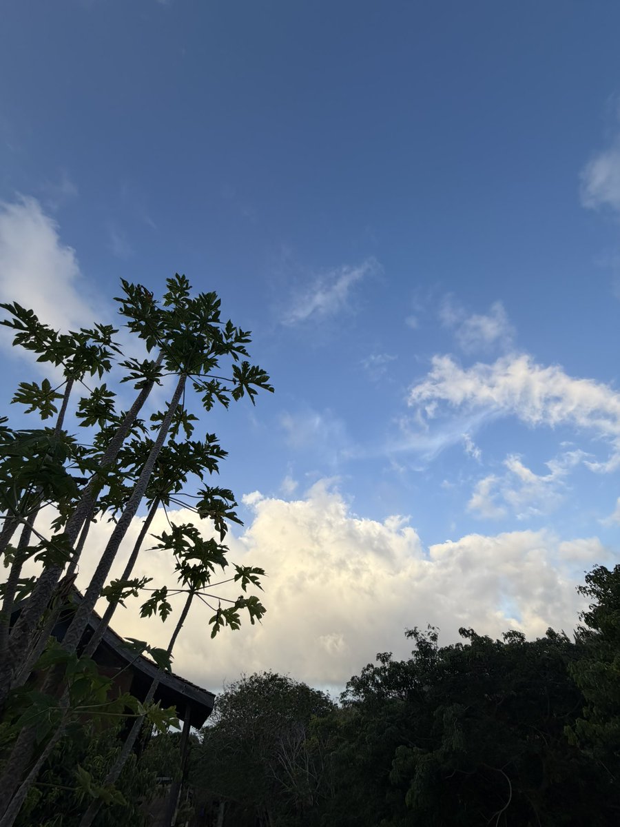 ROCO tweet picture