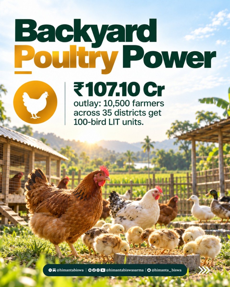 himantabiswa's tweet photo. A new rural economy is taking shape in Assam. And we are ticking all the right boxes to make sure this vision is on track. https://t.co/Ywji0o1Zv3