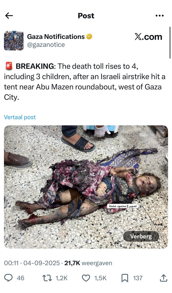 MYaaskasz's tweet photo. @NorCalNordau @PlzDontTellHank @DomCorner3 The evil Jewish terrorists IDF are baby killers. They killed thousands of Palestinian children

You are one of them. https://t.co/pyrOI5KBFf