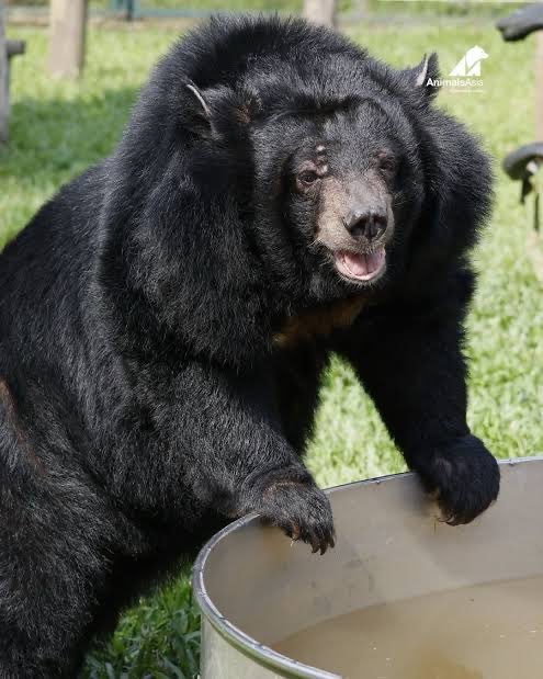 luckyosamu123's tweet photo. @cryptogoogler I want $FERN to bond and run to multi millions 

It is the best animal play that anyone can buy 

BfK1fZuZjcgtxpdKowafwDzFTywdVzyQb5mRYAdHpump https://t.co/T9RwMQZdx3