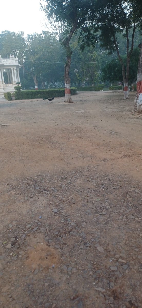 heyvats2020's tweet photo. @Prithvi10_ My running track 😅 https://t.co/fihsyrnPzc