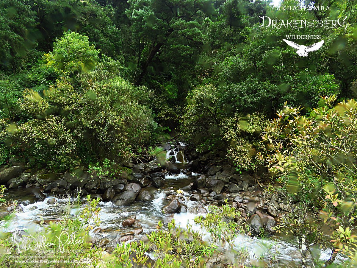 SamtashTwo's tweet photo. The sweet waters of the Drakensberg Wilderness.......... https://t.co/pApsS0yka5