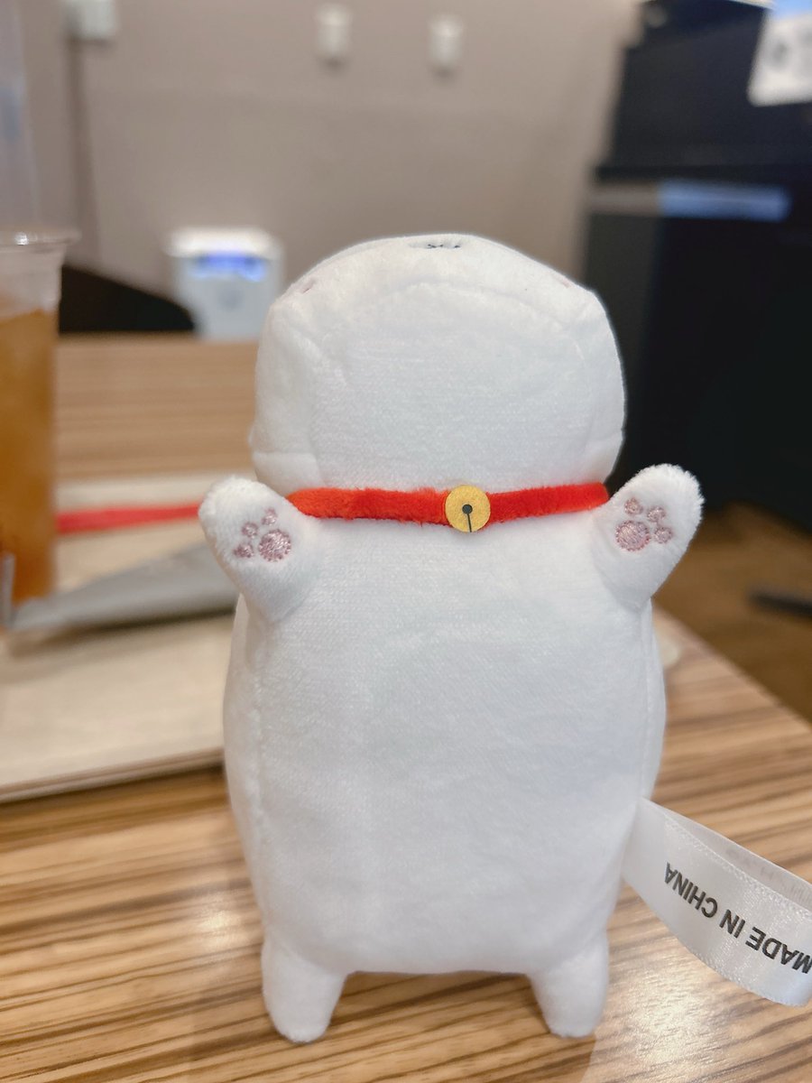 AisuMarmot's tweet photo. この子だーれだ
知ってる人は知ってるはず🤔 https://t.co/w1VExScZy2