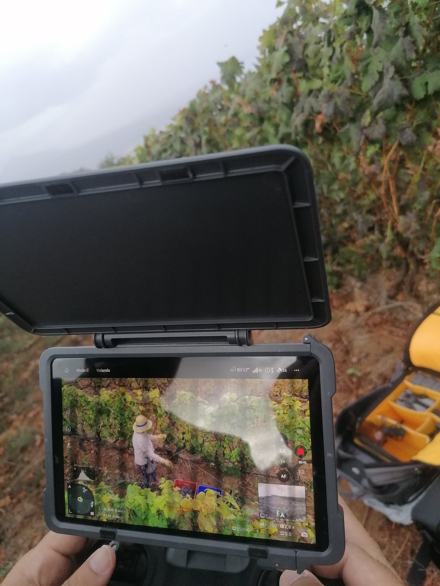 tacovin's tweet photo. Pruebas de dron en los viñedos de Tacoronte-Acentejo🍇

La contraetiqueta es el DNI de nuestros vinos🍷
Tacoronte-Acentejo, tu vino tu comarca. #winelover #vino #wine #Km0 #tenerife #comarca #cultura #TacoronteAcentejo #vinosdetenerife #movimientovinodo #sostenibilidad #vendimia https://t.co/goBwpi9KiH