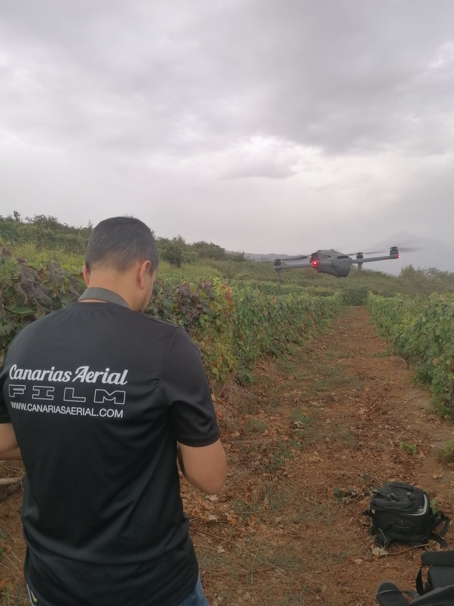tacovin's tweet photo. Pruebas de dron en los viñedos de Tacoronte-Acentejo🍇

La contraetiqueta es el DNI de nuestros vinos🍷
Tacoronte-Acentejo, tu vino tu comarca. #winelover #vino #wine #Km0 #tenerife #comarca #cultura #TacoronteAcentejo #vinosdetenerife #movimientovinodo #sostenibilidad #vendimia https://t.co/goBwpi9KiH