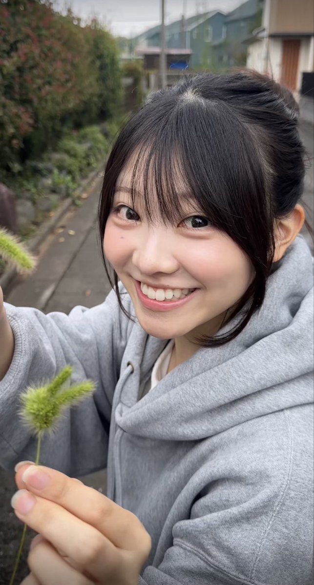 mi_himasugi's tweet photo. 猫じゃらしでウサギ作れるんやでー！ https://t.co/WBz5oGat1y