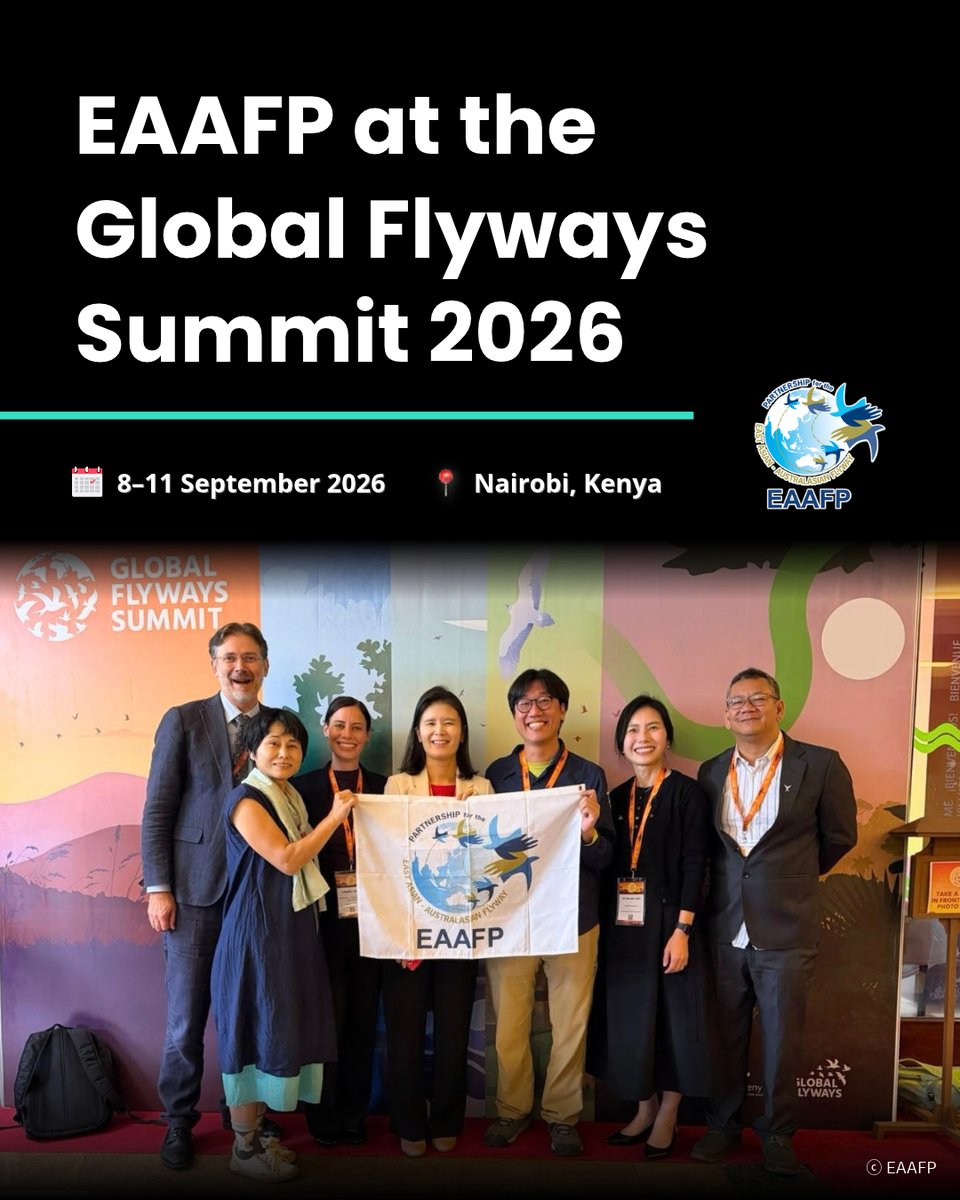 EAAFP's tweet photo. #EAAFP #GlobalFlywaysSummit #BirdLifeInternational #MigratoryBirds #Flyways #Wetlands #Biodiversity https://t.co/lJ4vTD43cn