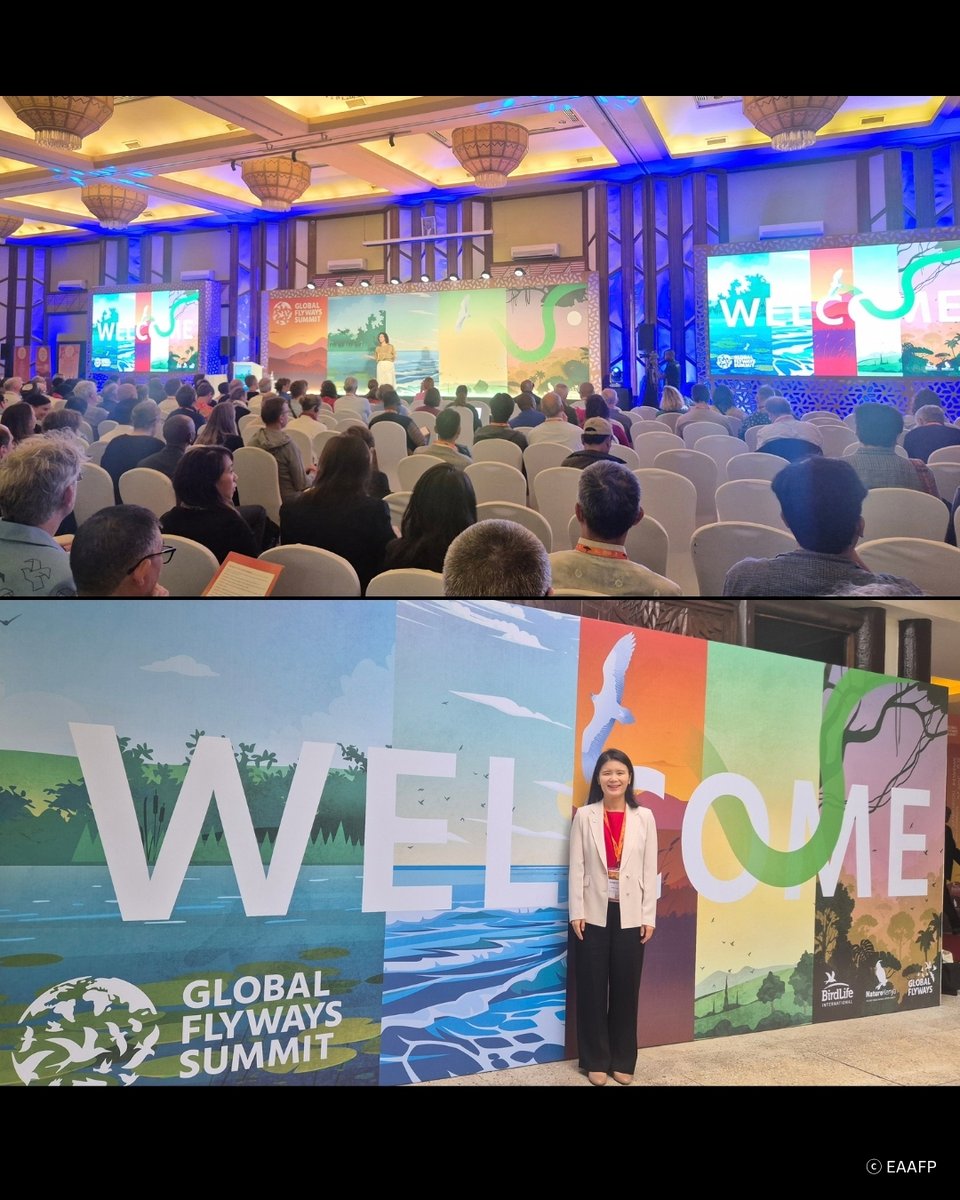 EAAFP's tweet photo. #EAAFP #GlobalFlywaysSummit #BirdLifeInternational #MigratoryBirds #Flyways #Wetlands #Biodiversity https://t.co/lJ4vTD43cn