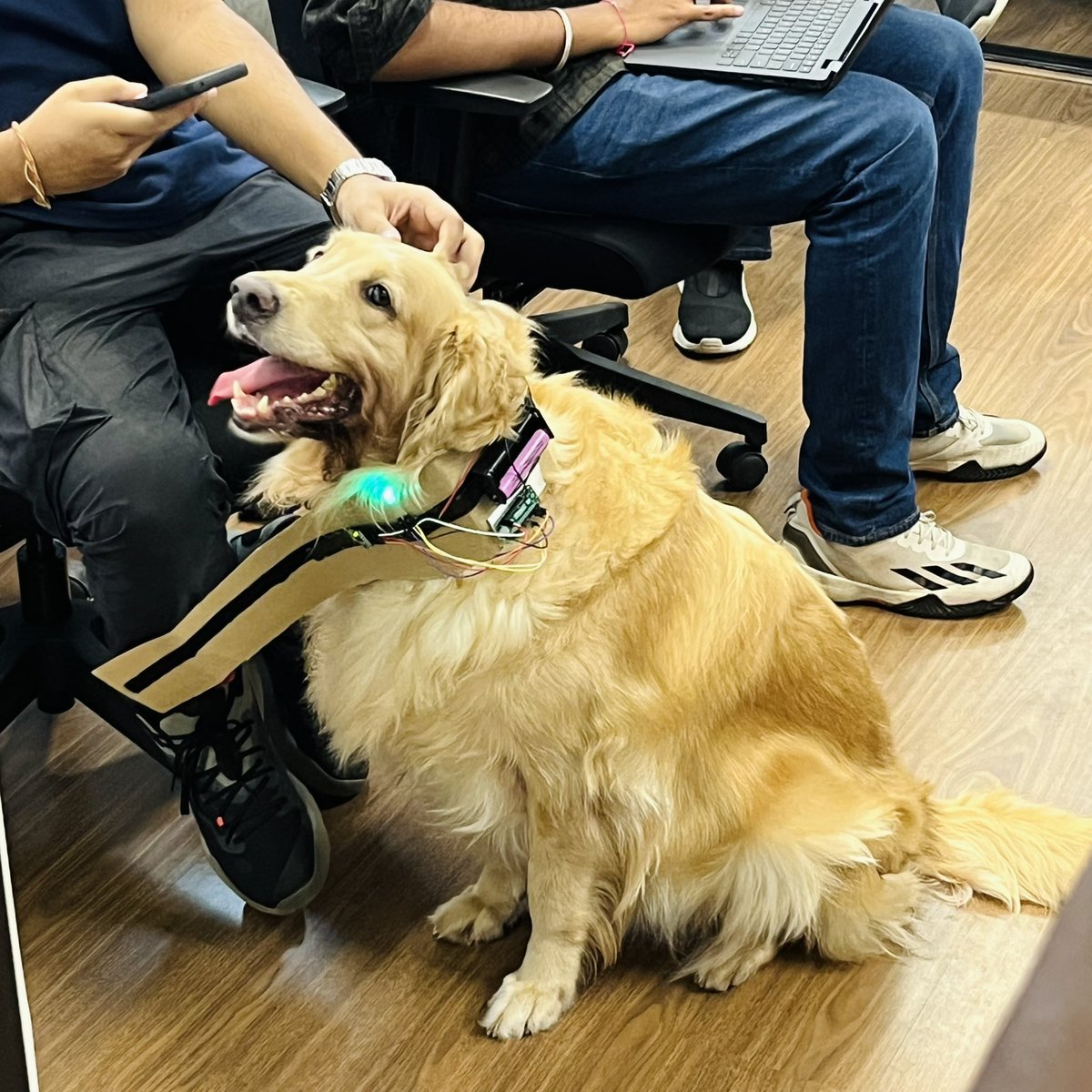 anshikavijay_'s tweet photo. we had dogs at our tech event!  

people made dog Tinder, health trackers for pets, ways for dogs to play a piano, things to help owners train their pets and a bunch of other cool stuff

and it was sooo fun watching them use the projects, love some, or completely refuse to interact with some.

More events from Creature Commons + Claude coming vv soon! Stay tuned :)

@knowShubhangi @therohaan #claude