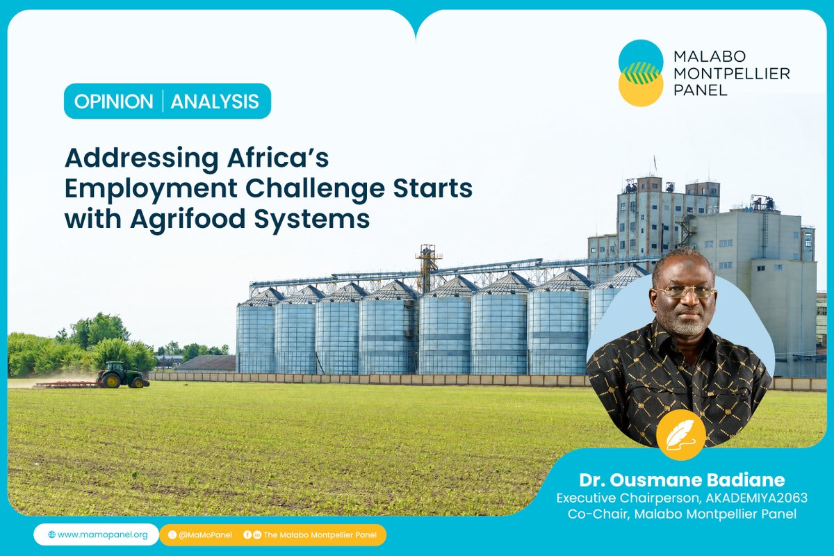 MaMoPanel's tweet photo. Addressing Africa’s Employment Challenge Starts with Agrifood Systems

As governments around the world grapple with rising migration pressures, the conversation too often centers on border security, climate shocks, and conflict. These factors matter, but they overlook a deeper economic reality: in an increasingly interconnected global labor market, migration is often driven by the search for better jobs and higher incomes. For many young Africans and others from the Global South, migration is not simply an escape from hardship but a calculated investment in economic opportunity.

Investing in agrifood systems will create productive opportunities that enable young Africans to build prosperous futures where they are and reduce the economic pressures that drive irregular migration.

Read more from @DrOBadiane via @farmingfirst 👇https://t.co/irpSzEBner