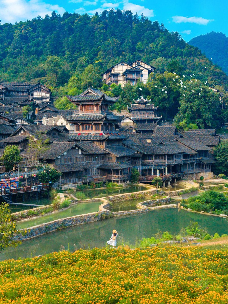 weidaowu's tweet photo. Day or dusk, Wujiang Village unfolds like a living ink painting.#WujiangVillage #GuizhouTravel https://t.co/zaZABcXzY0