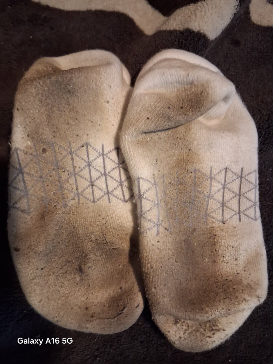 GoddessKyLlee2's tweet photo. End of day 2 and these things are CRUNCHY AF. Day 3 should be fun tomorrow. Last pist for me today,  but I'm chilling in fms for a couple hrs https://t.co/wchv0SVs2q
