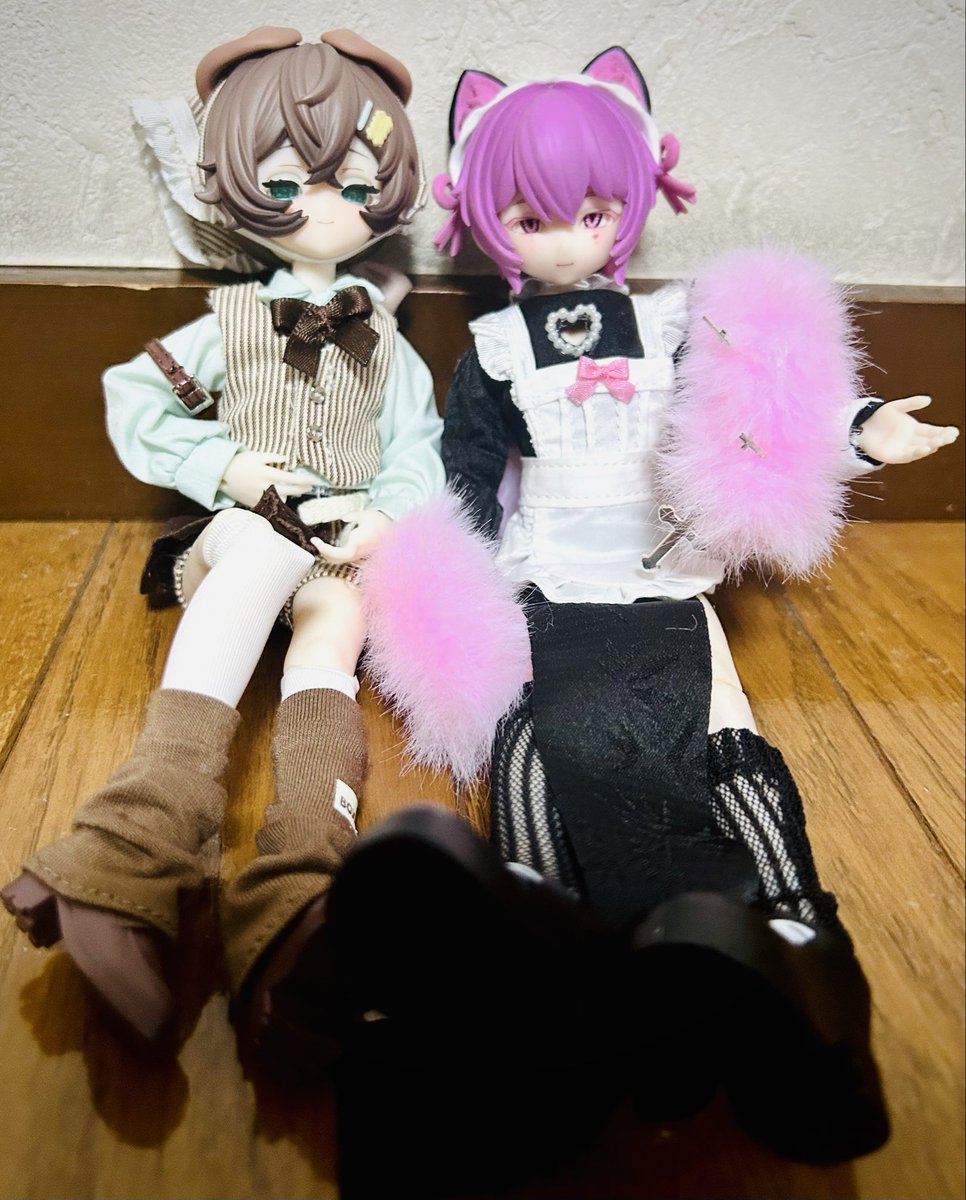 DoDopgpo's tweet photo. わんにゃん https://t.co/n6zPmLp5wr