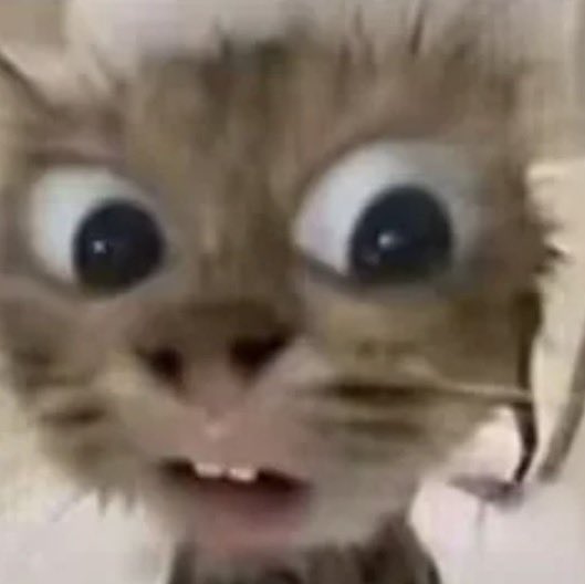 thisis153cm's tweet photo. Fans asked Fort what if P'Peat fell down and accidentally grabbed Fort's pants and took it off, what should Fort do between pull P'Peat up first or pull his pants up first.

Fort said he would pull P'Peat up first because he normally wouldn't be embarrassed in that situation.

ME :
