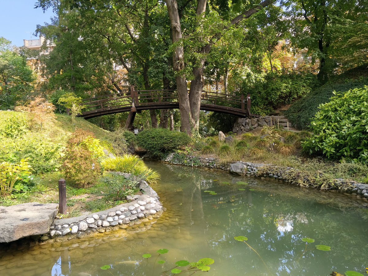 kvizdo's tweet photo. There's also Japanese garden in Belgrade 
It's so lovely! https://t.co/uyH26rr5xF