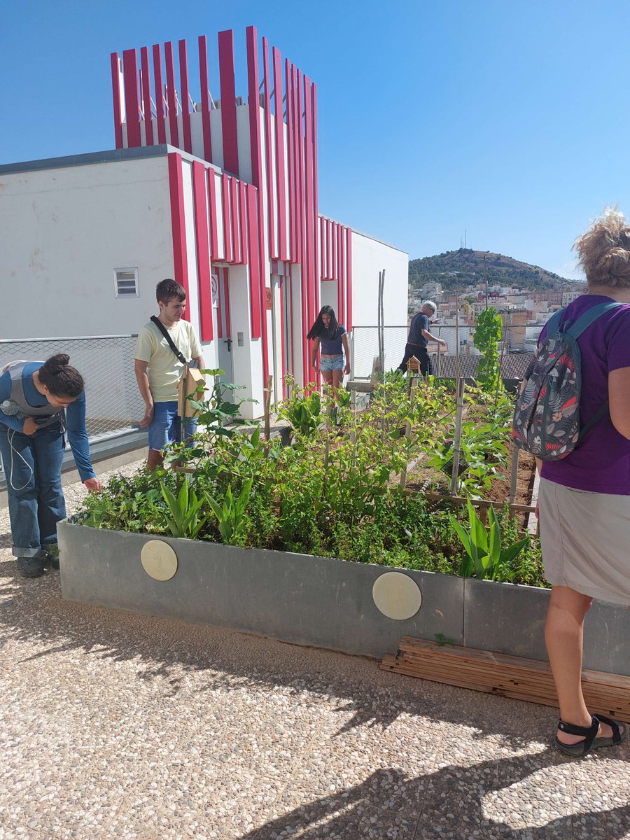 CREMalaga's tweet photo. Hace unos días llevamos a cabo la reunión trimestral de voluntariado del Área de Medio Ambiente de Málaga capital para compartir información de las actividades realizadas y previstas y para disfrutar de una gymkhana con dinámicas de sensibilización 💚🌍 https://t.co/7IGNBsKEWV