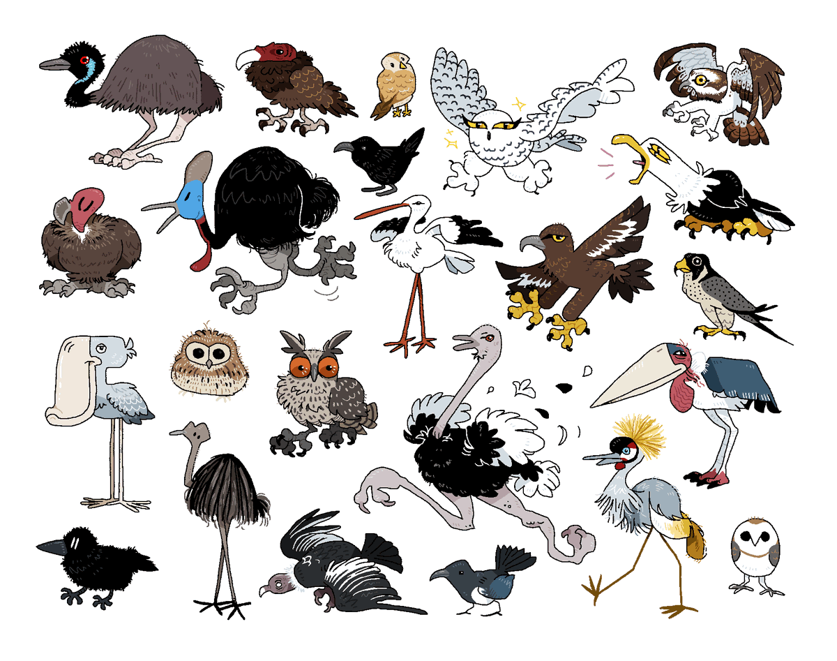 haveneuh2's tweet photo. birds 1 https://t.co/pvxMD37sKf