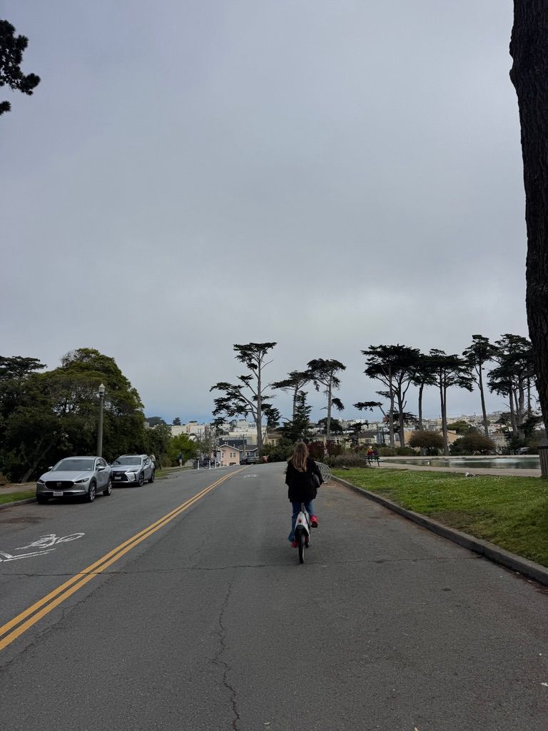 gocyclemate's tweet photo. Multiple seasons biking in San Francisco https://t.co/o2jyIyrPJJ