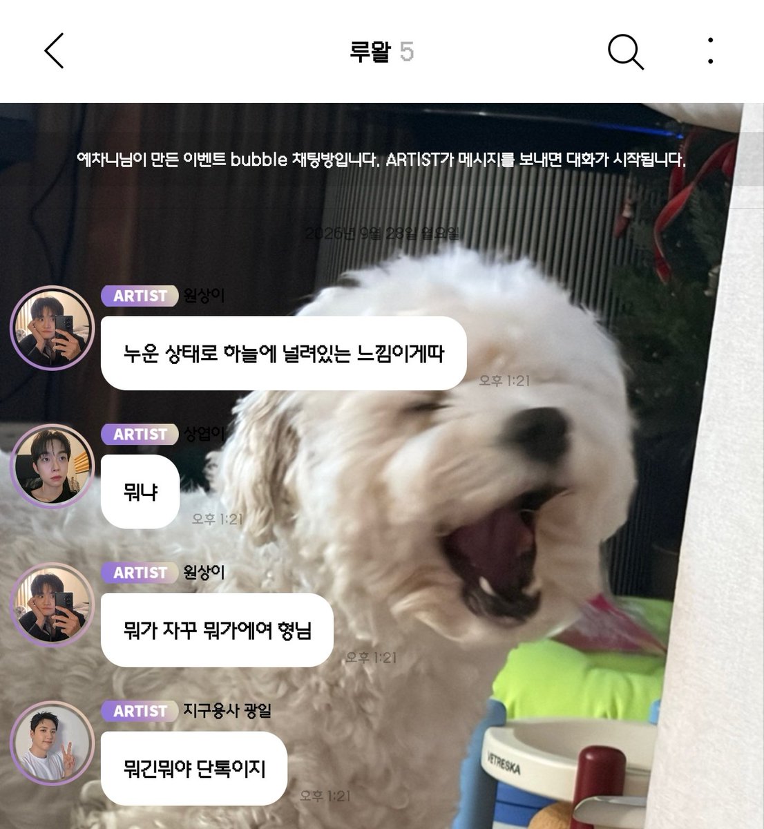hheetcy's tweet photo. 아니.. 내가 봣던 것��� 다 없네..
이전 대화 돌려주세여... 불러오기도 안 되고...ㅠ https://t.co/FkleyWPc96