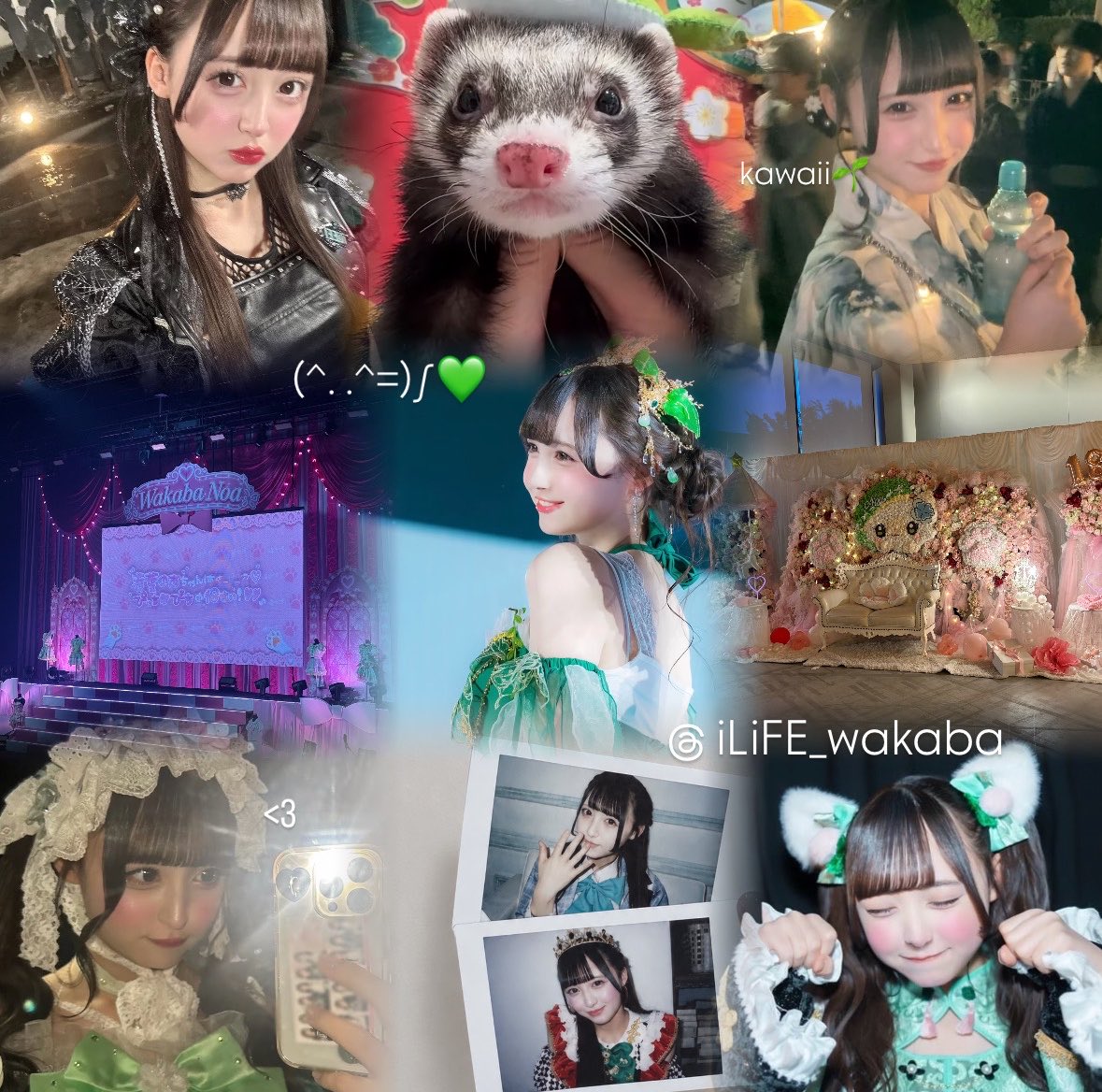 _zz2uha_'s tweet photo. 初Tag𖦹🏷️
若葉のあちゃん(^. .^=)∫🌱
⠀
詳細Alt⬇️
⠀
#あいらいふぁーさんと繋がりたい #iLife好きと繋がりたい #iLife好きな人と繋がりたい #あいらいふぁーと繋がりたい #ヒロインズ好きな人と繋がりたい #のあへのあい #のあにゃんず https://t.co/1C89pau4Iy