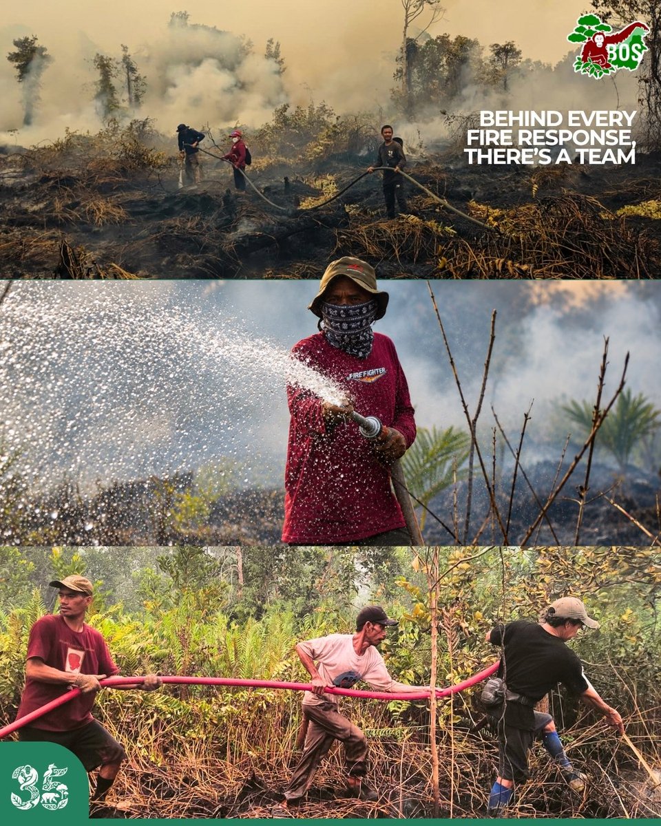 bornean_OU's tweet photo. THE FIRE WAS THERE. SO WERE THEY.

They fought the flames. They worked long hours. They kept showing up when the forest needed them. https://t.co/aPxlJKcvYe
