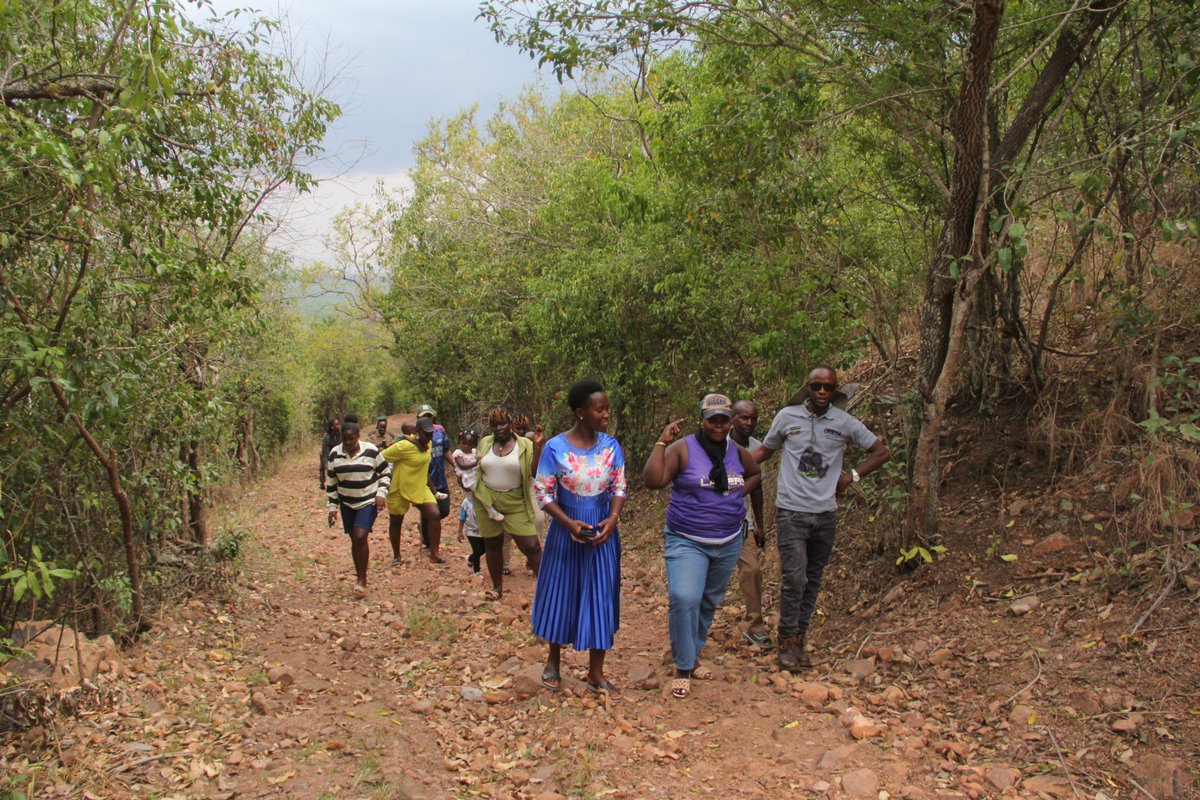 ugwildlife's tweet photo. Good morning Uganda!

Welcome back from #UWAOpenParkDays2026, hopefully you enjoyed your tour around savanna parks. We shall be glad to receive your feedback about your experience and inspiration towards tourism and conservation in Uganda 

Share your story. https://t.co/KLELMv47Q0