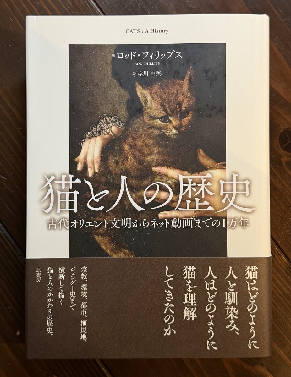 wagahaido's tweet photo. 歴史好きな皆様へおすすめの書籍入荷！
天候も涼しくなり、がっつり読書できる季節となりました。

猫と人間の、長くて不思議な歩み。一万年かかってもまだまだ謎が残っている、それが人を惹きつけてやまない猫の��力なのだと思います。

https://t.co/gYG7gMDTIs

#吾輩堂 
#猫と人の歴史
#原書房 https://t.co/xCZ7E8OjLM