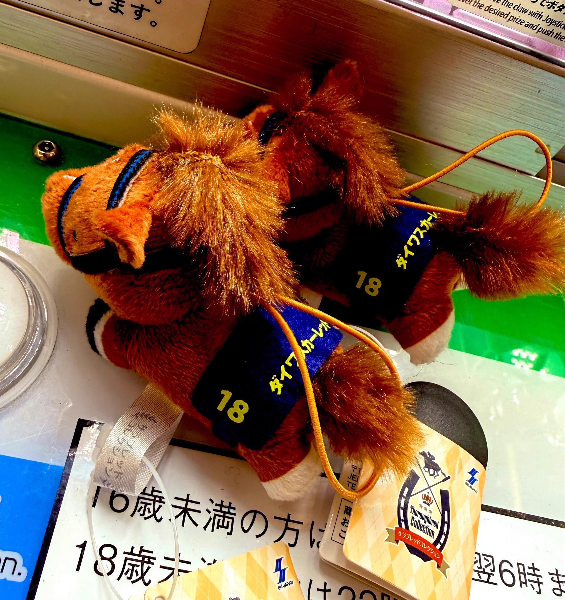 ⛩️⚡️馬券解析の神Eval⛩️⚡WIN5通算95的中超｜複勝圏内率｜WIN5的