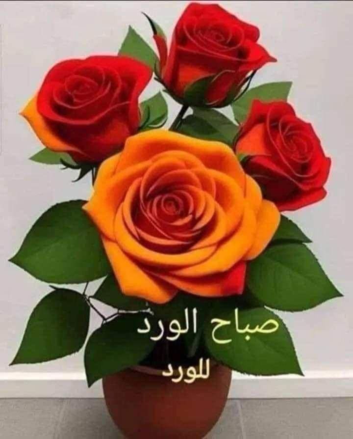 j_khalil_j's tweet photo. @saadenadia https://t.co/GK9scTO5Eb