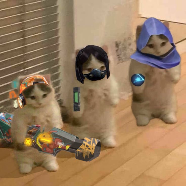 plum_xp's tweet photo. final boss degen trio: curvy, rae, and arckon

- valo till dawn
- ragebait each other
- no one will break stack https://t.co/IsCBztvYua