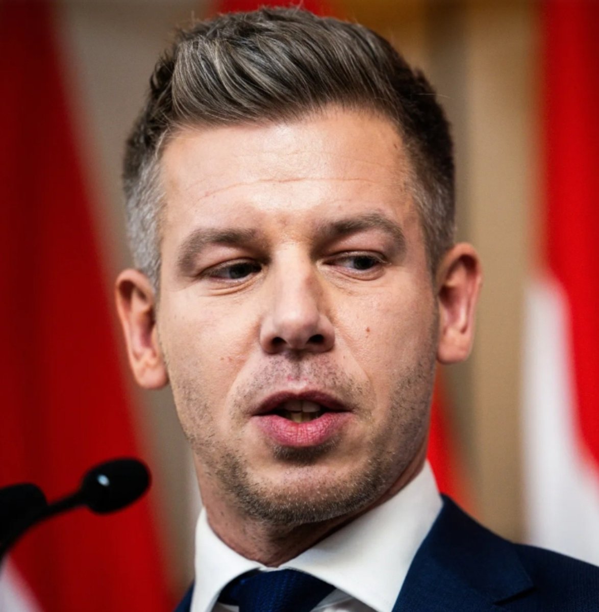 MarioBojic's tweet photo. 🚨🇭🇺Hungarian PM Péter Magyar accused of theft - Parliament has just stripped him of his immunity.

Case dates back to 2024, when Magyar grabbed a phone from a man who was filming him and threw it into the Danube River.

Hungarian prosecutors opened a criminal investigation, treating the incident as theft.