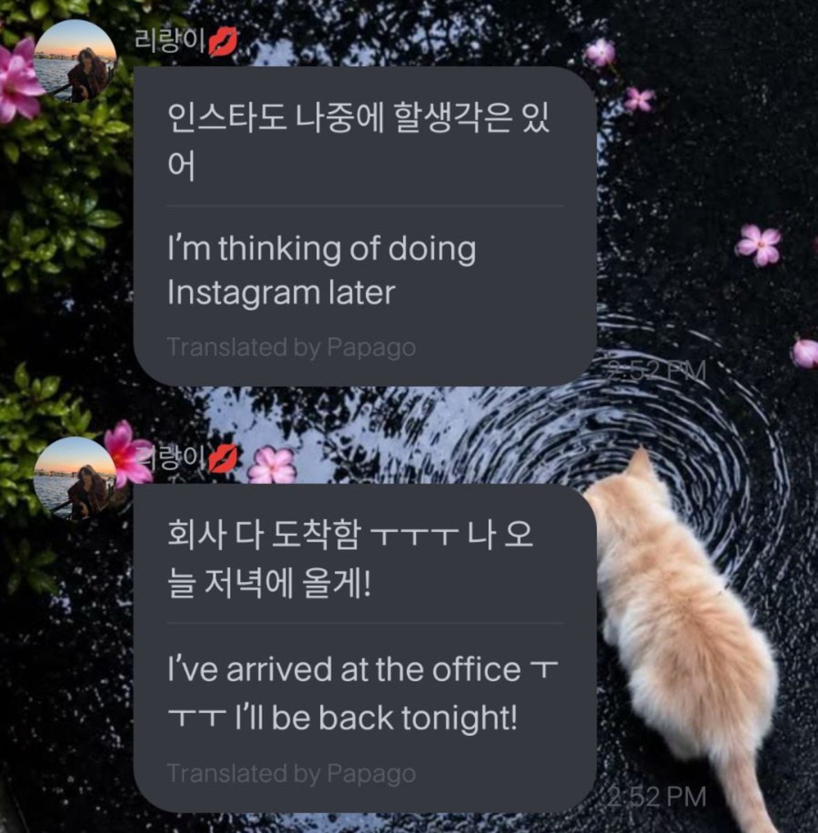 tiger_xin_news's tweet photo. #update #fromm ~

🐯~ I'm thinking of doing Instagram [Live] later, too.

🐯~ I've just arrived at the office ㅜㅜㅜI'll come back tonight!

🐯~ As long as I don't finish work too late, I'll drop by to hang out tonight! 

🐯~ See you later!!

#XIN #ARIA https://t.co/mKHJ19TTCd