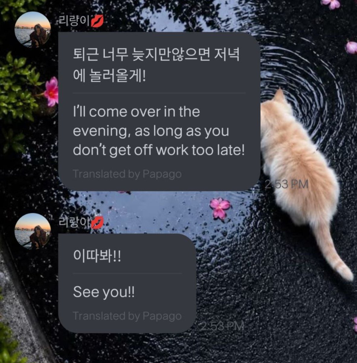 tiger_xin_news's tweet photo. #update #fromm ~

🐯~ I'm thinking of doing Instagram [Live] later, too.

🐯~ I've just arrived at the office ㅜㅜㅜI'll come back tonight!

🐯~ As long as I don't finish work too late, I'll drop by to hang out tonight! 

🐯~ See you later!!

#XIN #ARIA https://t.co/mKHJ19TTCd