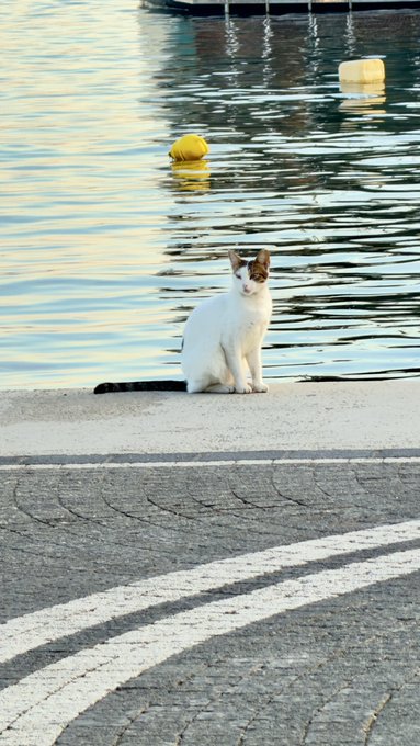 PanyhaDisS's tweet photo. Günaydın 🌸📷Huzurlu, keyifli, gönlünüzce bir Pazar olsun. Mutlu pazarlar 📷📷  #Pazar #MutluPazarlar #Huzur #Kahve #Keyif #Borsa #BIST100 📷📷📷 ☕️🍀📈 https://t.co/sKKwRyMVPd