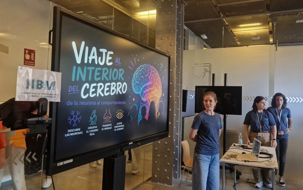 IIBmCSICUAM's tweet photo. 🧠 Y… en la planta 3, el equipo de NeuroACTIVAS del #IIBM dejó a más de uno boquiabierto
🔬 Beatriz, Celia, Álvaro, Ana y Alain acercaron las neurociencias al público 👉 microscopio, cerebros de ratón y los más pequeños jugaron a ser neuronas 🤩
¡Ciencia que sorprende! 🤩 https://t.co/EnBeLt8X41