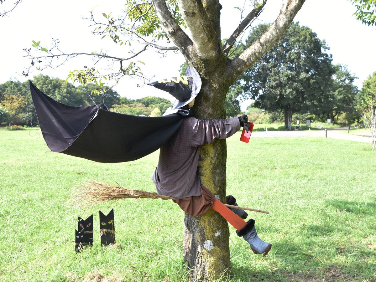 KoiSky's tweet photo. ほうきで飛ぶ時もスマホは禁止。
公園の #ハロウィン https://t.co/ryrZULzwtj