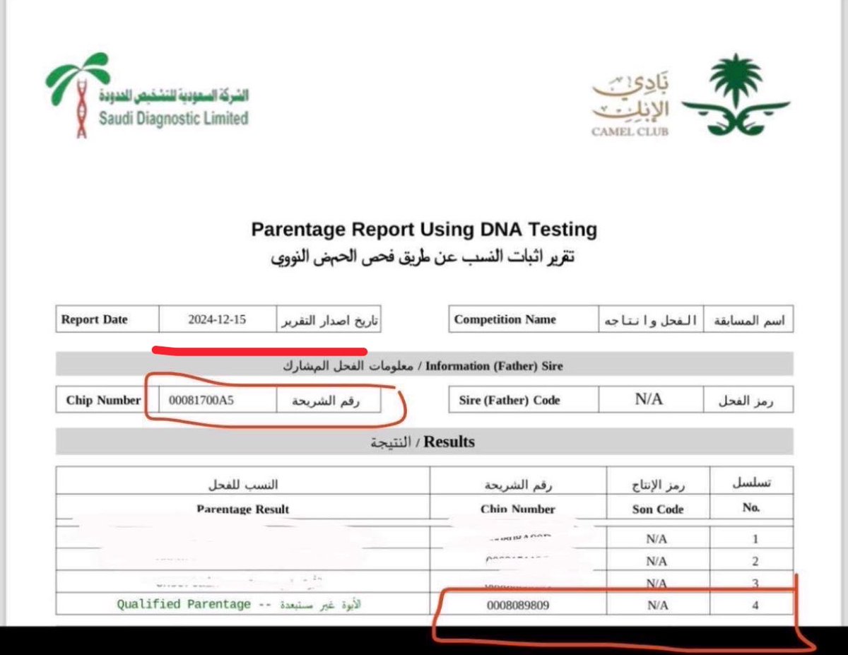 a_sre1's tweet photo. @ELPep6 @7arkat201 @daq48 التحليل مكتوب سنة ٢٠٢٤ مشاركه موقفه بالفحل وانتاجه وسنة ٢٠٢٤ عمير ماشارك في الفحل ونتاجه الي شارك ابن دلمخ واخذ الاول وسنة ٢٠٢٤ 

مشها ع غيري هذي واضح ذكاء اصطناعي واضح من الخط https://t.co/PjTbgVTS7M