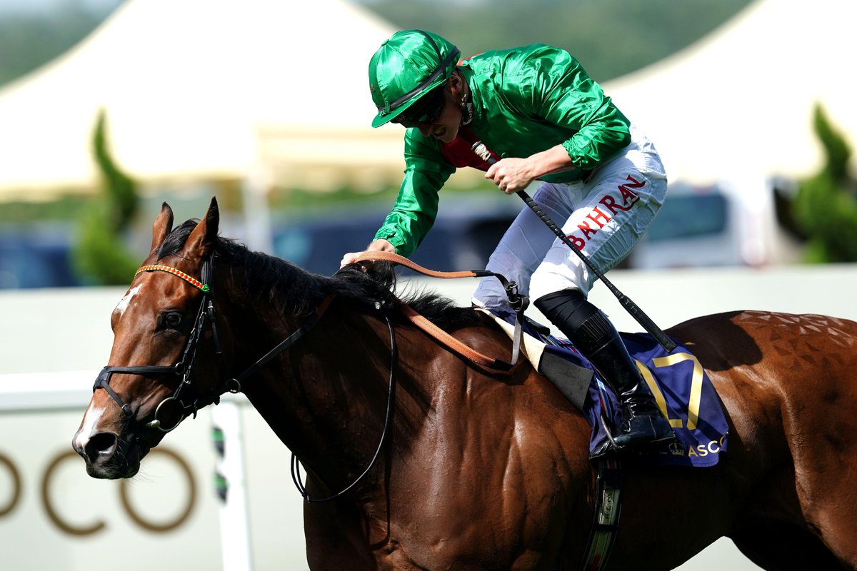 TWEnclosure's tweet photo. STRONG IN A FINISH...

Which jockey immediately springs to mind when you hear that phrase? 🤔 https://t.co/qQUh2arfxW