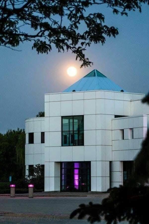 artdirectionk's tweet photo. Happy Purple Monday ๐ #Prince4Ever โฎ๏ธ #TimelessPrince https://t.co/xW68VkUMeO
