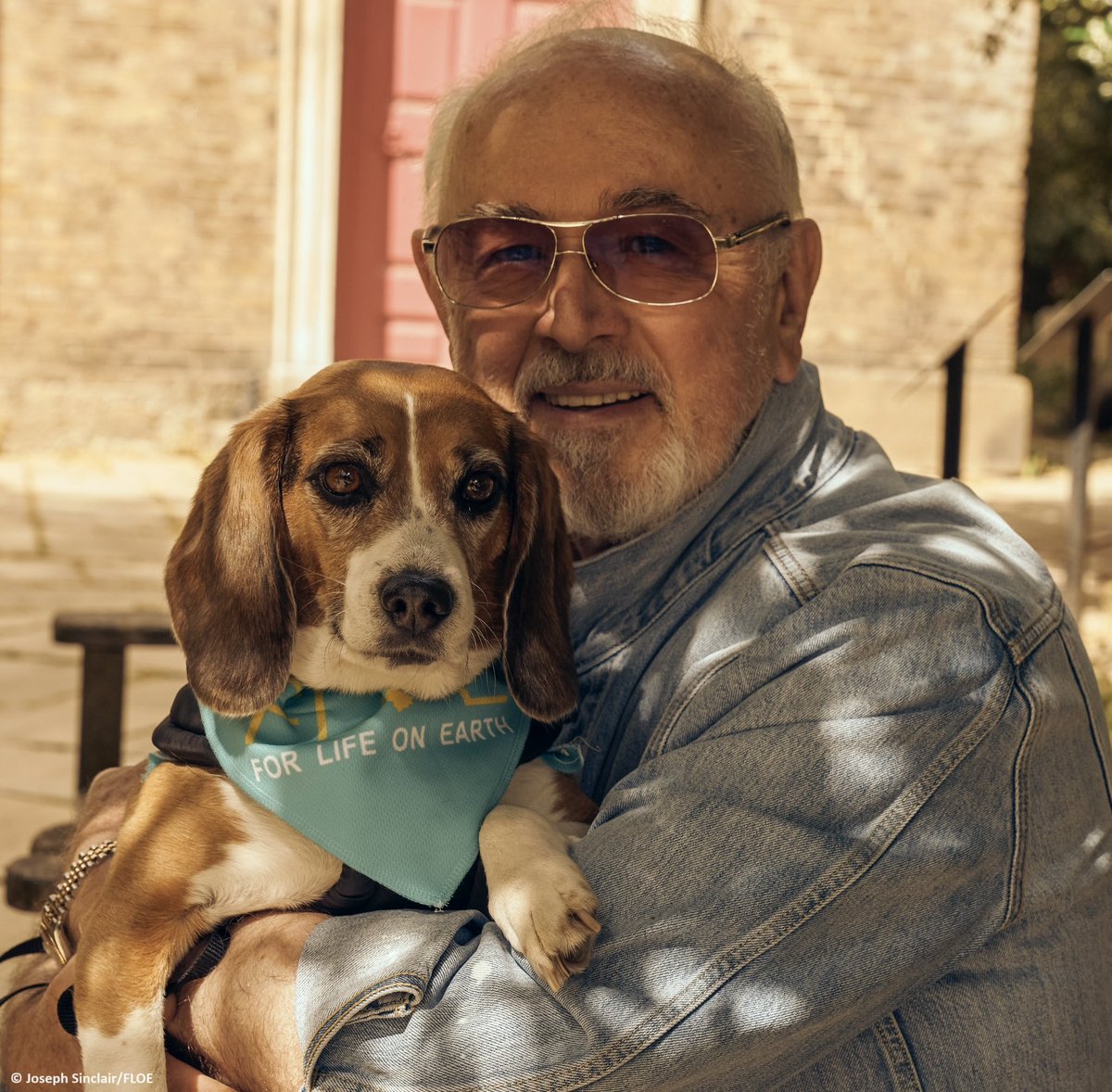 BetsyAmbassador's tweet photo. “Happy Birthday @PeterEgan6!” woofs rescued laboratory dog @BetsyAmbassador. “Thank you for being such an incredible Patron for my campaign to #EndAnimalTesting, and for all your amazing work to help and protect us animals. I love you!” 🎉🎂🥳🎊❤️🐾
#Dogs #Animals #EDM187 https://t.co/0n12BBsTTt