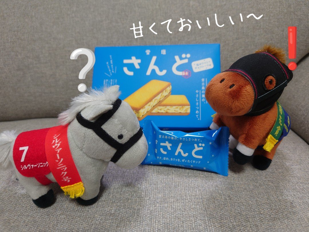 anmioimna's tweet photo. 沖縄雪塩さんど🐴

「このおいしさを世に広めたい…宣伝するか…甘くておいs 
「何してるの?
「うってつけの馬が来たな
「…何が?
「なぁこのお菓子、お前みたいだとは思わないか…?CM撮ろうぜ!
「どゆこと!CM?!
「いくぞ!ｱｸｼｮﾝｯ!
「しししシルヴィーみたいでオイシイよ!
「ｶｧｯﾄ!噛み過ぎ! https://t.co/zSS5bpGcpj