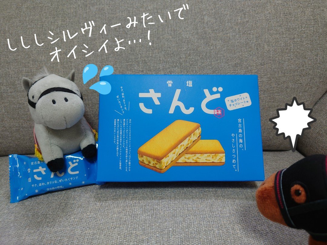 anmioimna's tweet photo. 沖縄雪塩さんど🐴

「このおいしさを世に広めたい…宣伝するか…甘くておいs 
「何してるの?
「うってつけの馬が来たな
「…何が?
「なぁこのお菓子、お前みたいだとは思わないか…?CM撮ろうぜ!
「どゆこと!CM?!
「いくぞ!ｱｸｼｮﾝｯ!
「しししシルヴィーみたいでオイシイよ!
「ｶｧｯﾄ!噛み過ぎ! https://t.co/zSS5bpGcpj